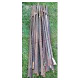 30 - 5ft to 6ft T Posts