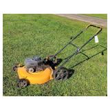 Poulan Pro 22" Push Mower
