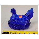 Cobalt Blue Hen on the Nest