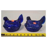 2- Cobalt Blue Hen on the Nests