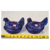 2- Cobalt Blue Hen on the Nests