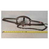 Newhouse No. 436 Wolf Trap 7"