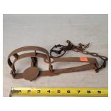 Antique Newhouse 4" Longspring Dbl. Grip Trap