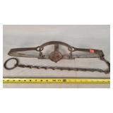 Oneida Newhouse #4 - 6" Dbl. Longspring Trap