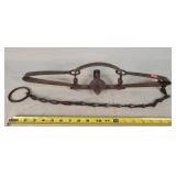 Newhouse 6" Dbl. Spring Trap