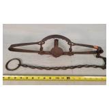 Newhouse No. 14 6" Tooth Trap