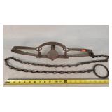 Oneida Newhouse #4 - 6" Longspring Trap