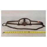 Oneida Newhouse No. 4 - 6" Longspring Trap