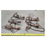 5- 3" Mixed Brands Long Spring Traps