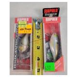 2- Rapala Fishing Lures