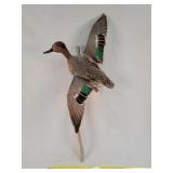 Taxidermy Duck