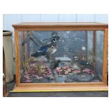 Cool Oak Taxidermy Duck Coffee Table Display