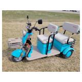 New IRANCH IRGC40 Electric Mini Tricycle Golf Cart