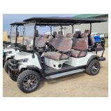 SDLANCH SDLGC100 6 Seat Electric Golf Cart
