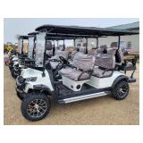 SDLANCH SDLGC100 6 Seat Electric Golf Cart
