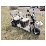 New IRANCH IRGC40 Electric Mini Tricycle Golf Cart