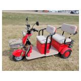 New IRANCH IRGC40 Electric Mini Tricycle Golf Cart