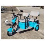 IRANCH IRGC40 Electric Mini Tricycle Golf Cart