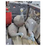 4- Turkey Decoys