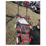 Toro 22' Push Mower, ran last year
