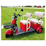 IRANCH IRGC40 Electric Mini Tricycle Golf Cart