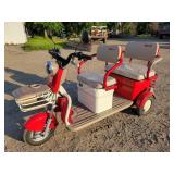 IRANCH IRGC40 Electric Mini Tricycle Golf Cart