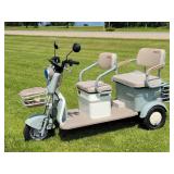 IRANCH IRGC40 Electric Mini Tricycle Golf Cart