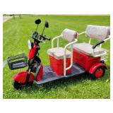 IRANCH IRGC40 Electric Mini Tricycle Golf Cart