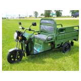 New IRANCH IRET13 Electric Tricycle
