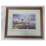 Duck Wildlife Print - 24ï¿½20'