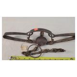 Triumph No. 3 6' Double Spring Trap