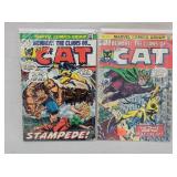 2- The Cat Marvel Comic Books - Vintage