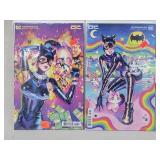 2- Catwoman DC Comics