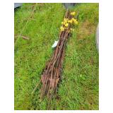 Hand Full Of Metal Fencing Posts 48"