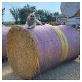 2- 4x5 Round Straw Bales