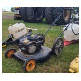 Briggs & Stratton Push Mower