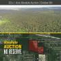 APPROXIMATELY 133 ACRES OF RURAL UNDEVELOPED LAND  ABSOLUTE AUCTION