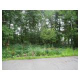L Pitarys Drive (Tax Map E, Lot 2225)