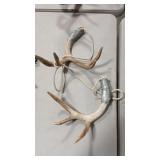 SET OF DEER ANTLERS