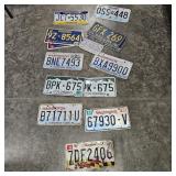 LICENSE PLATE CONTEMPORARY ASSORTMENT