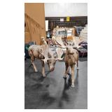 2 - DECORATIVE MOOSE TABLETOP DECOR
