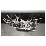 LARGE GROUP OF ANTLERS