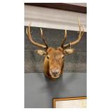 4X4 ROCKY MOUNTAIN ELK SHOULDER MOUNT