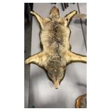 COYOTE RUG