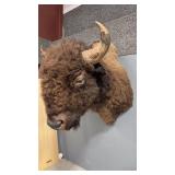 AMERICAN BISON SHOULDER MOUNT
