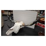 LONGHORN SKULL