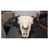 BISON SKULL