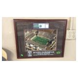 1995 NATIONAL CHAMPIOINSHIP MONTANA GRIZZLIES VS