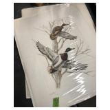 2 SIGNED & NUMBERED DUCK PRINTS