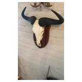 BLUE WILDEBEAST SKULL & HORNS